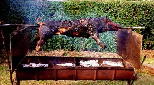 Roasted pig - ready to eat!